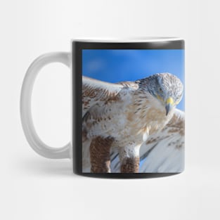 Dreams of Flight Mug